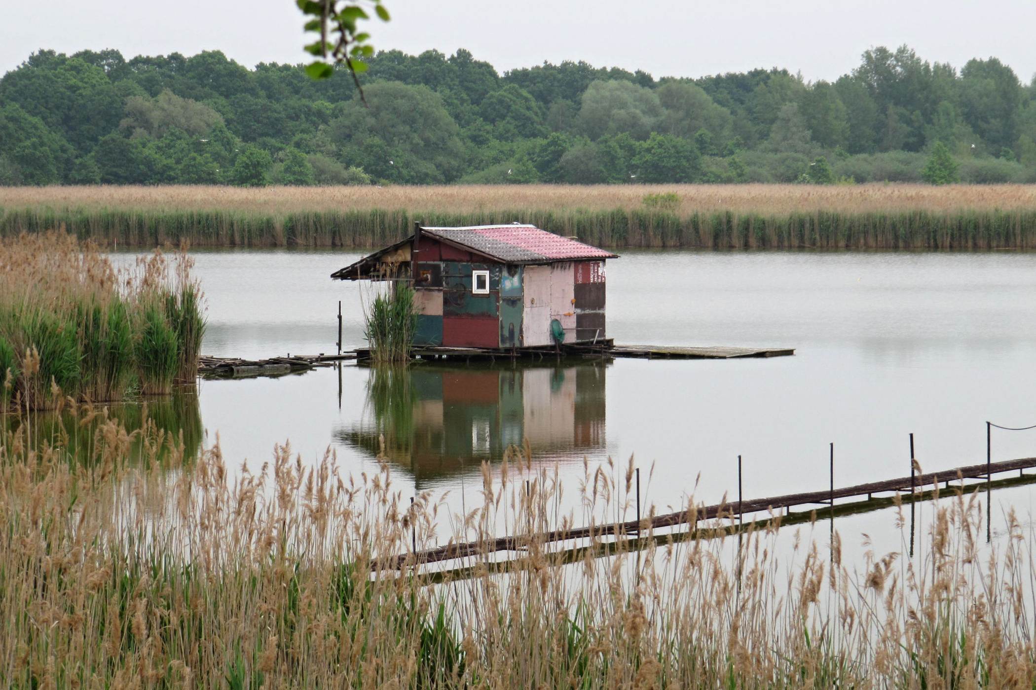 Jedna z rybářských chatek na hladině Heřmanického rybníka