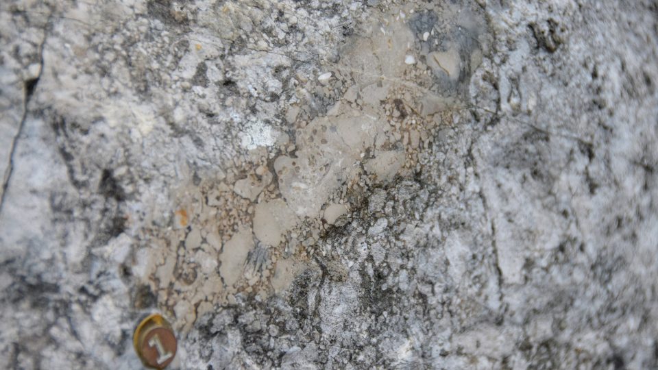 Geologicky nejzajímavější balvan č. 1 je z jurského vápence