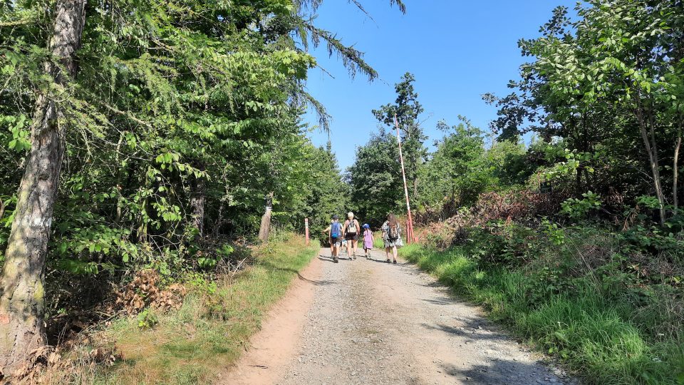 Naučná stezka je dlouhá asi dva kilometry a projet ji můžete i se sportovním kočárkem | foto: Iva Havlíčková, Český rozhlas Naučná stezka je dlouhá asi dva kilometry a projet ji můžete i se sportovním kočárkem