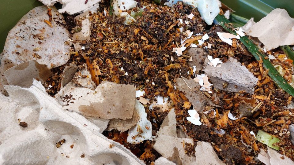Základ pro založení kompostu | foto: Irena Šarounová, Český rozhlas Základ pro založení kompostu