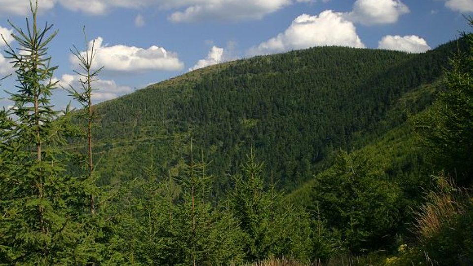 Přírodní rezervace Bučací potok
