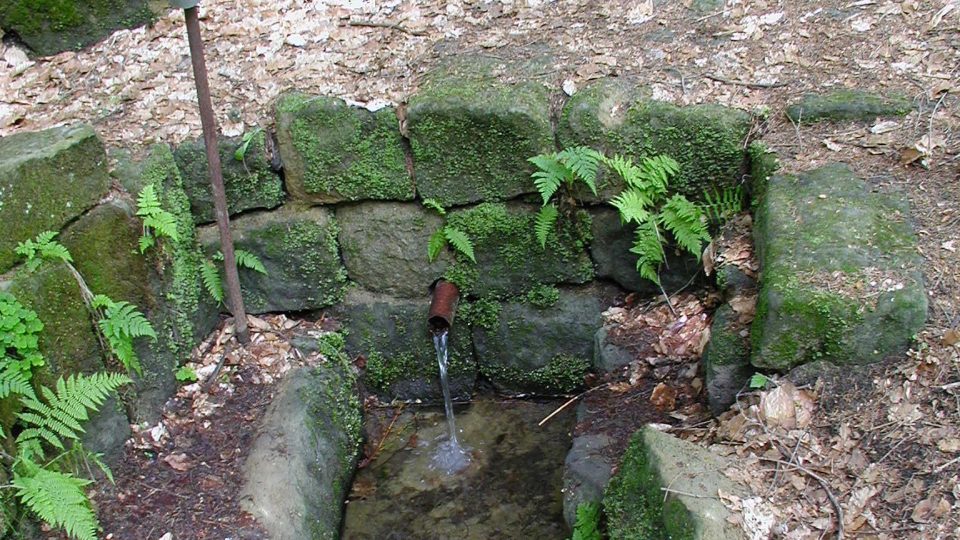 Pramen Mírovky U dvou Janů | foto: Miroslav Kobza, Český rozhlas Pramen Mírovky U dvou Janů