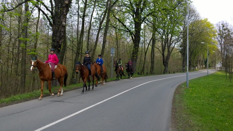 Cestou po žluté značce můžete celkem běžně potkat i výletníky na koních