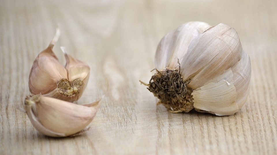 Stroužky česneku
