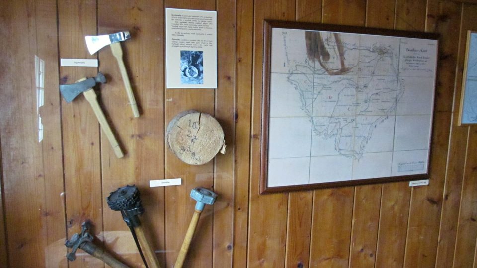 Expozice lesnictví ve 2. patře | foto: Naďa Čvančarová, Český rozhlas Expozice lesnictví ve 2. patře