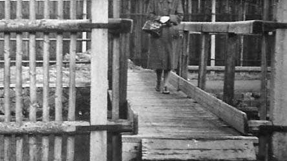 Maminka L. Kocierzové na mostku přes struhu do gruntu, asi před válkou