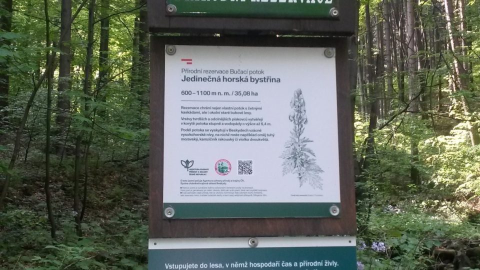 Přírodní rezervace Bučací potok začíná hned nedaleko vesnice Ostravice