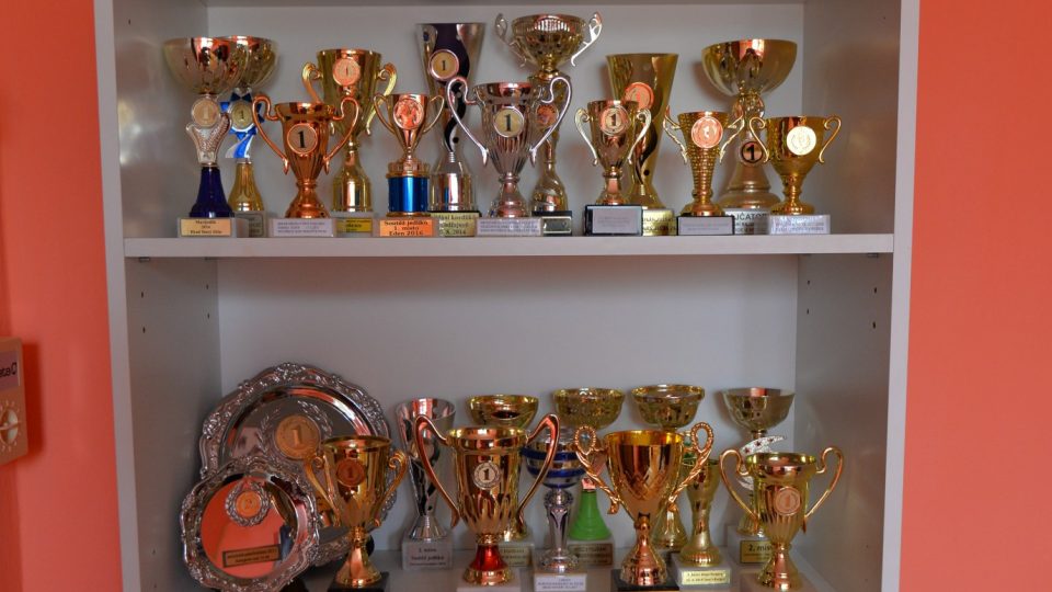 Ceny maxijedlíka Jaroslava Němce. A některé patří i jeho psu | foto: Martin Čuřík Ceny maxijedlíka Jaroslava Němce. A některé patří i jeho psu