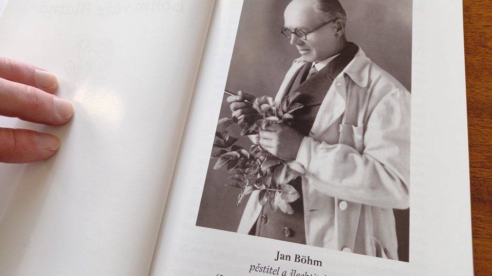 Jan Böhm z Blatné, u kterého se Figalla učil pěstovat růže