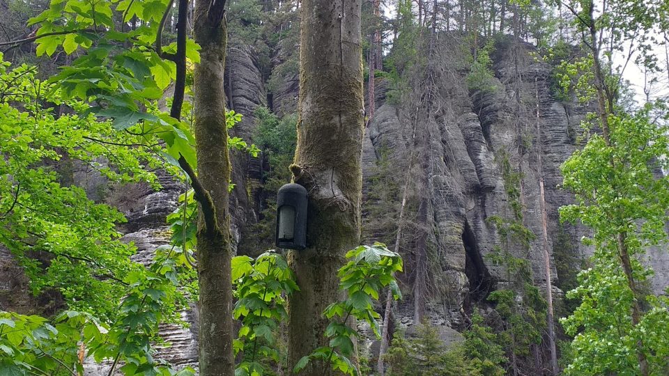 V Kyjovském údolí objevíte také Jeskyni víl nebo jeskyni zvanou Klenotnice. Prý podle lapků, kteří tu schovávali svůj lup