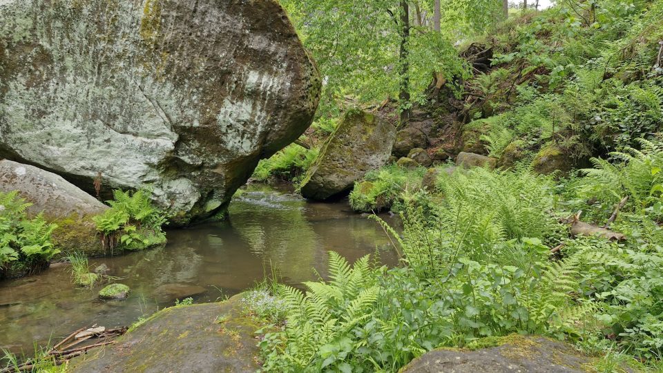 Říčka Křinice se prodírá pískovcovou tabulí a modeluje ji do bizarních tvarů