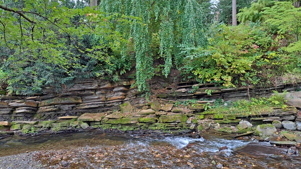 Park u jablunkovského sanatoria