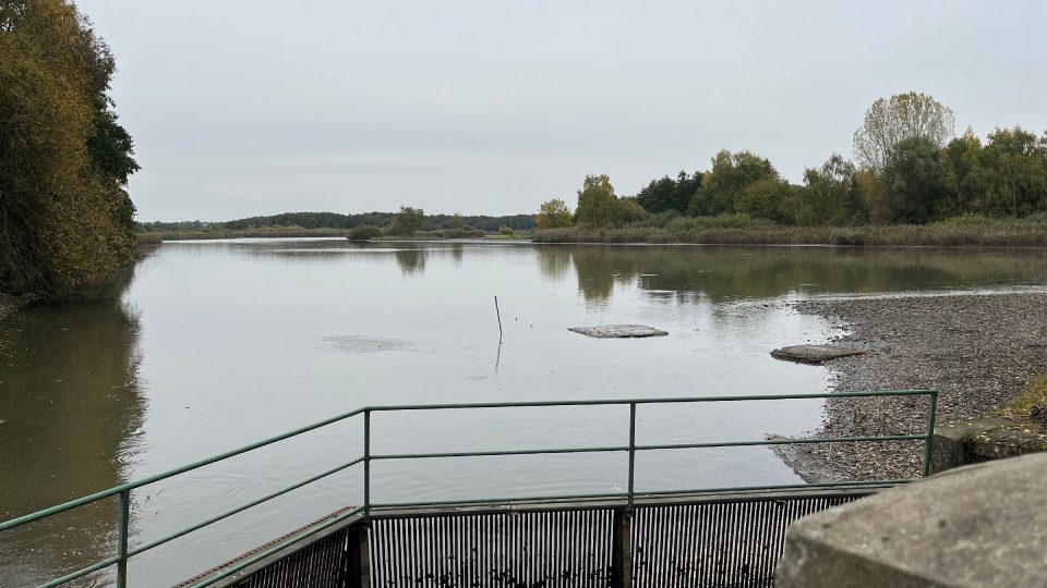 Bohdanečský rybník se vypouští před výlovem