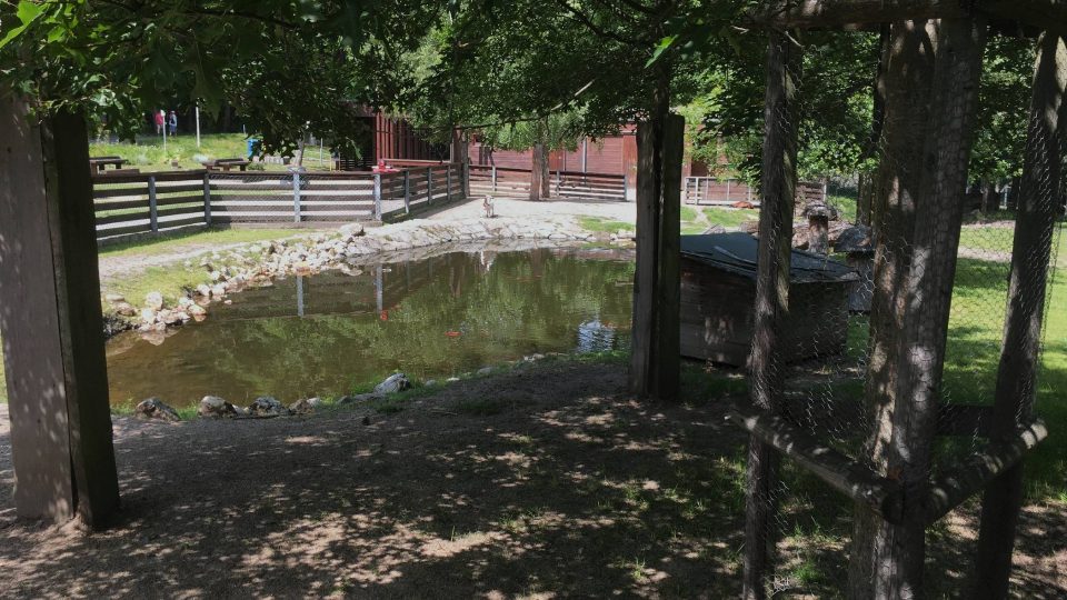 Minizoo v lesoparku Amerika | foto: Jana Strejčková, Český rozhlas Minizoo v lesoparku Amerika