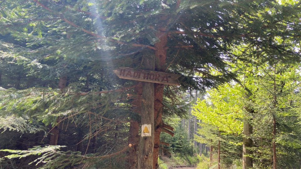Na Hadí horu dojdete z Božího Daru po žlutě značené turistické trase | foto: Jana Strejčková, Český rozhlas Na Hadí horu dojdete z Božího Daru po žlutě značené turistické trase
