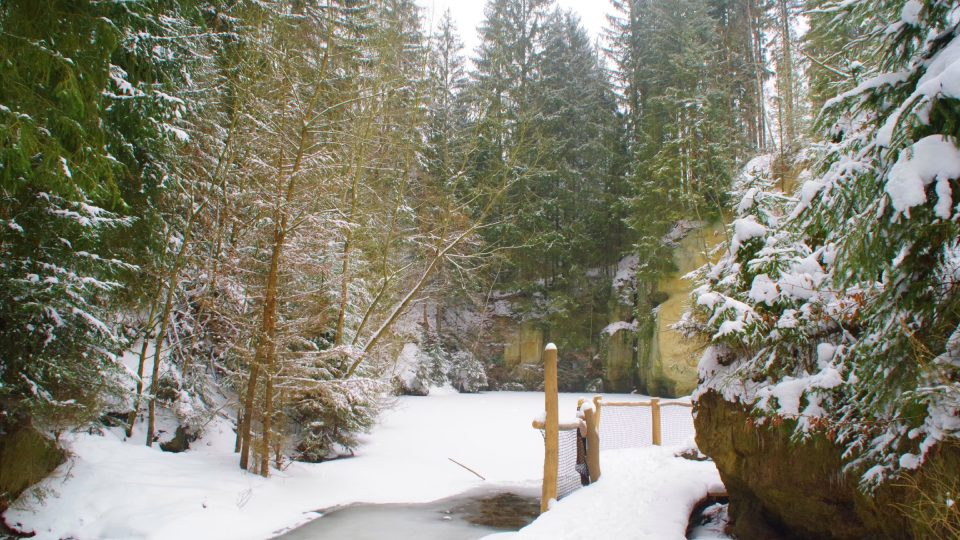 Vstup do Kubíčkova lomu usnadňují lávky nad hladinou zatopeného lomu | foto: Miroslav Kobza, Český rozhlas Vstup do Kubíčkova lomu usnadňují lávky nad hladinou zatopeného lomu