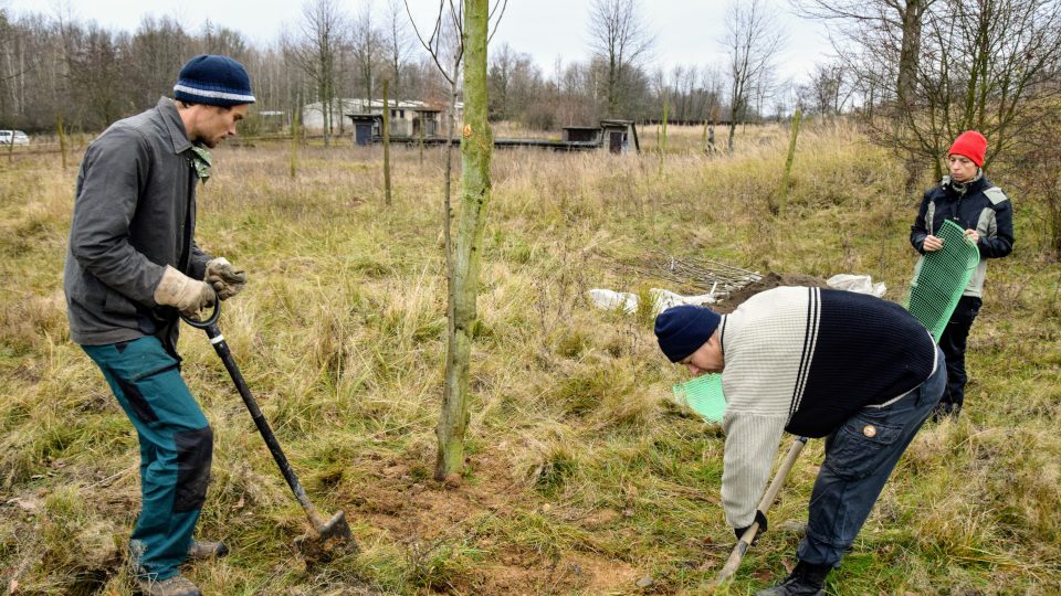 Pomolog Ondřej Dovala (vlevo) pomáhá při sázení stromků