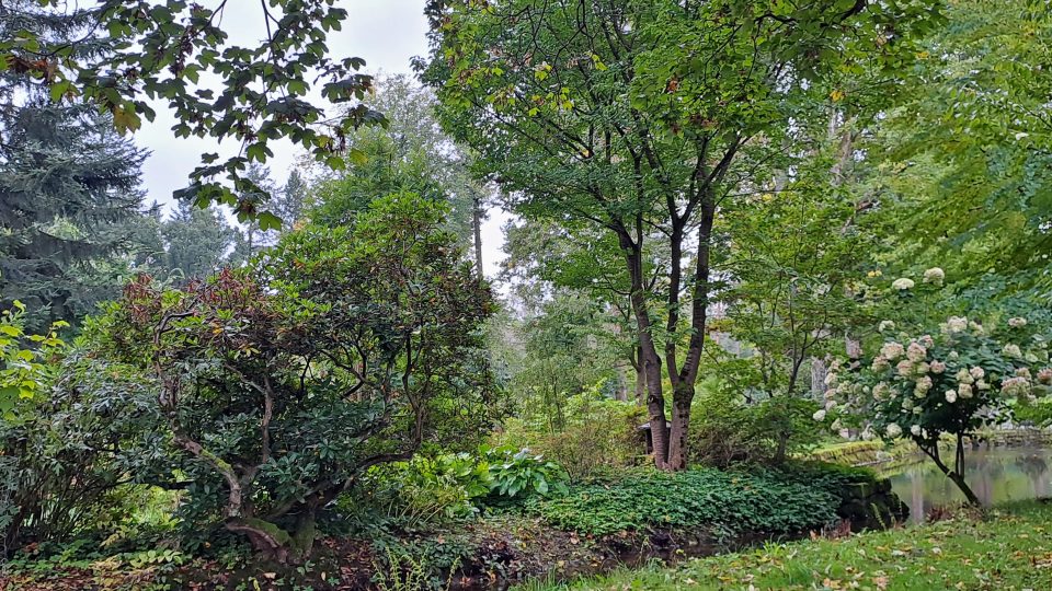 Park u jablunkovského sanatoria