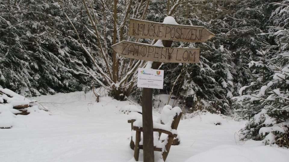 Díky šipkám se ve zdejších lesích ztratit nedá | foto: Miroslav Kobza, Český rozhlas Díky šipkám se ve zdejších lesích ztratit nedá