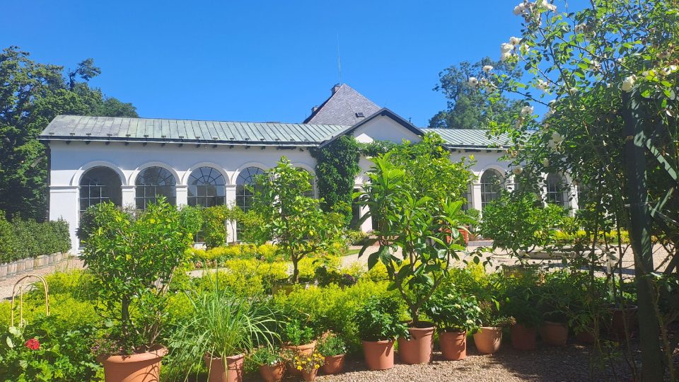 Zámecká oranžerie je klenotem zámku Raduň