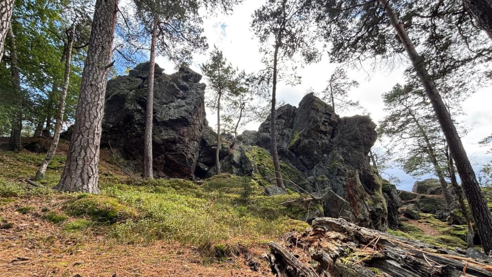 V okolí Zbirohu na Rokycansku je skal opravdu hodně | foto: Pavel Halla, Český rozhlas V okolí Zbirohu na Rokycansku je skal opravdu hodně