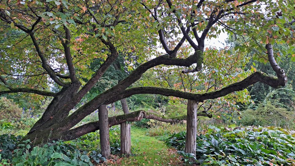 Park u jablunkovského sanatoria