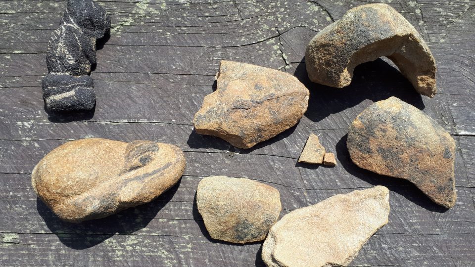 Části fosilního vejce, vlevo nahoře kamenná figurka