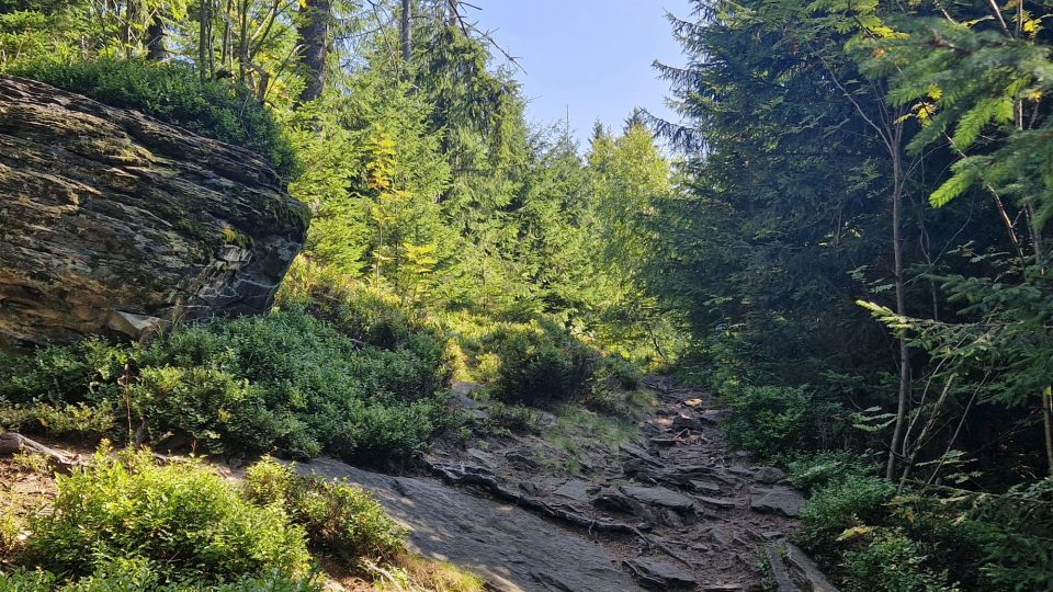 Hřebenovka Beskydské magistrály je splněním snem každého turisty, poutníka i milovníka hor | foto: Romana Kubicová, Český rozhlas Hřebenovka Beskydské magistrály je splněním snem každého turisty, poutníka i milovníka hor