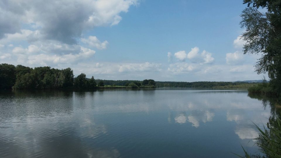 Rybník Amerika u Františkových Lázní je přírodní rezervací | foto: Jana Strejčková, Český rozhlas Rybník Amerika u Františkových Lázní je přírodní rezervací