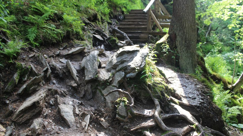 Po žluté značce dojdete z Karlovy Studánky k parkovišti u chaty Ovčárny