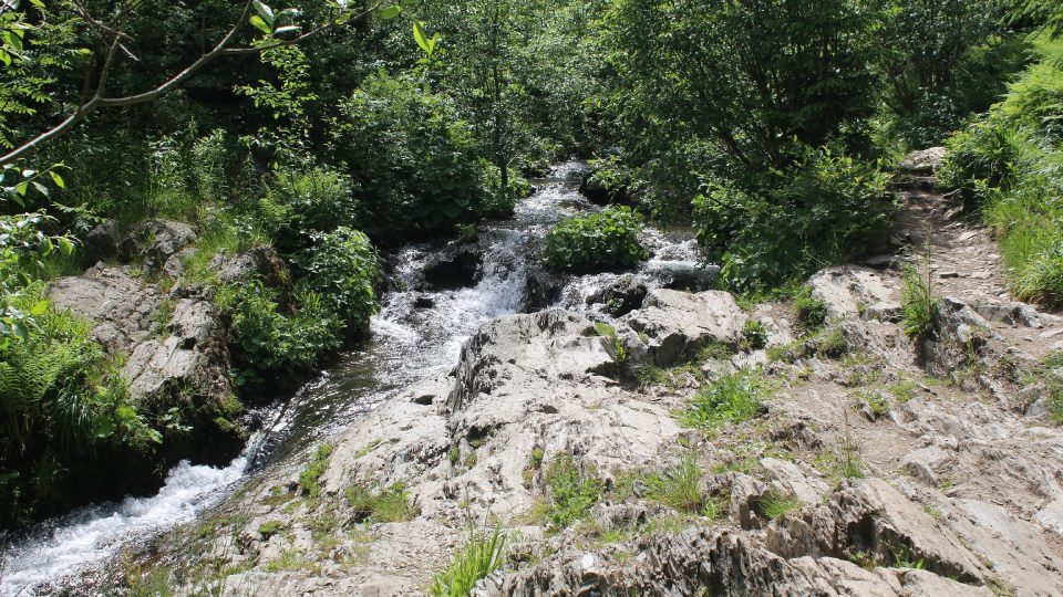 Bílá Opava pramení pod vrcholem Pradědu a po skalách teče ke Karlově Studánce