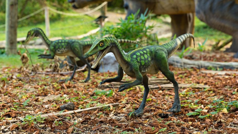 Dinosauří mláďata nejsou moc velká, i tak ale budí respekt | foto: Zdeněk Truhlář, Český rozhlas Dinosauří mláďata nejsou moc velká, i tak ale budí respekt