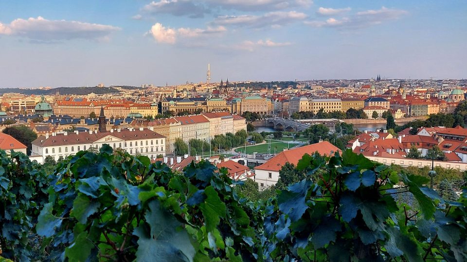 Pohled od Svatováclavské vinice směrem k vrchu Vítkovu