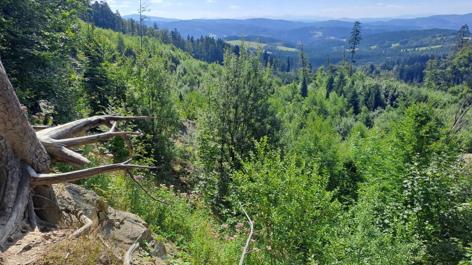 Masivní sesuv půdy na Gírové z roku 2010 je stále patrný | foto: Romana Kubicová, Český rozhlas Masivní sesuv půdy na Gírové z roku 2010 je stále patrný