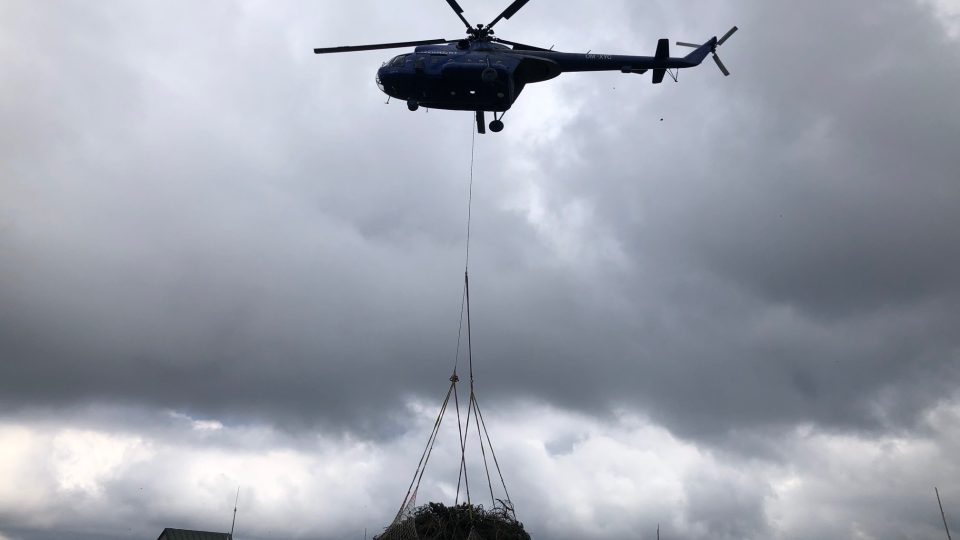 Odklízení borovice kleče z vrcholů Jeseníků | foto: Andrea Švubová, Český rozhlas Odklízení borovice kleče z vrcholů Jeseníků