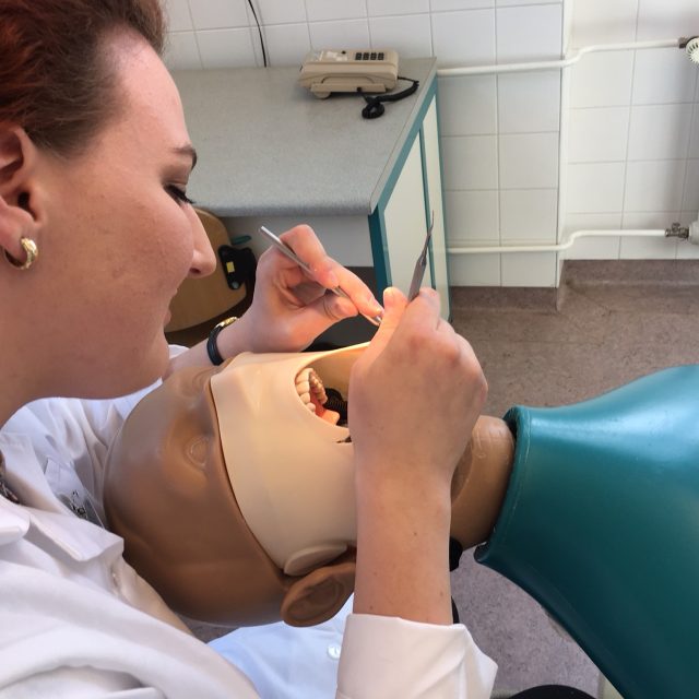 Cvičné vrtání si studenti stomatologie trénují na figurínách. | foto: Vlasta Gajdošíková,  Český rozhlas