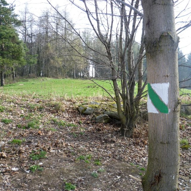 Naučná stezka  (ilustrační foto) | foto: Irena Šarounová,  Český rozhlas