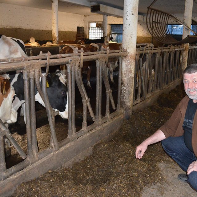 František Němec u krav | foto: Tamara Pecková