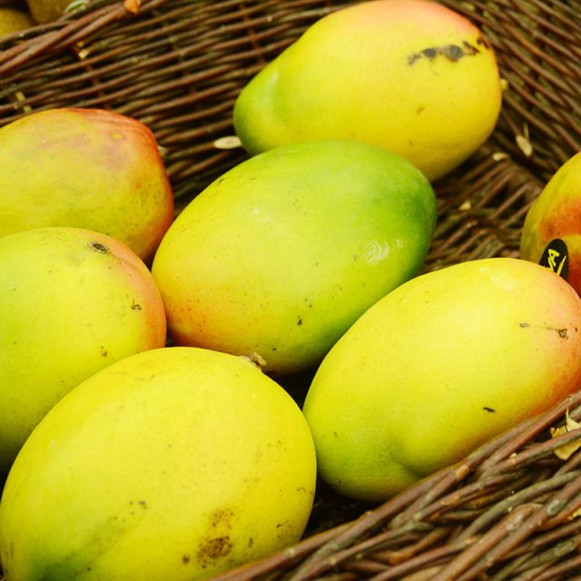 Mango | foto: Jan Ptáček,  Český rozhlas