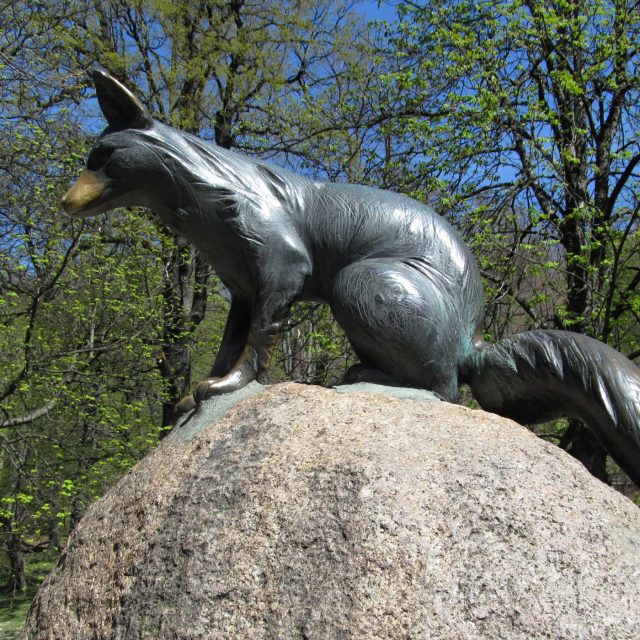 Liška Bystrouška | foto: Naďa Čvančarová,  Český rozhlas