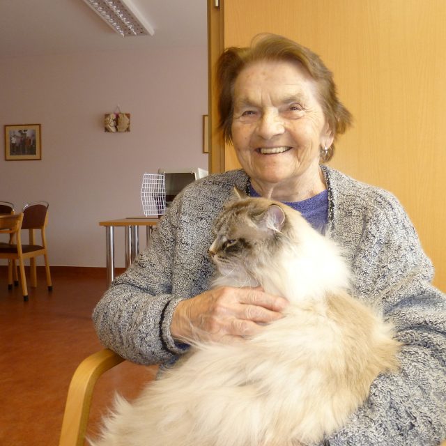 Felinoterapie  (ilustr. foto) | foto: Irena Šarounová,  Český rozhlas