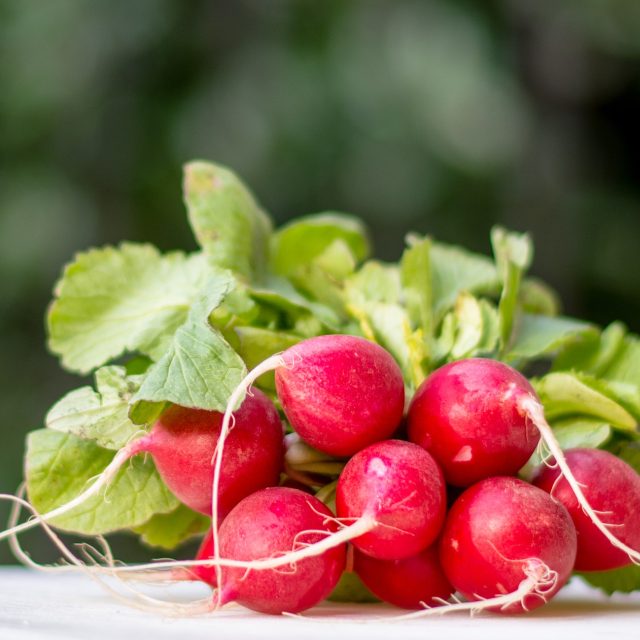 Ředkvičky | foto: Fotobanka Pixabay