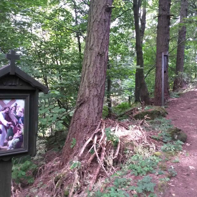 Cestu na Velký Roudný doprovází 15 zastavení křížové cesty | foto: Romana Kubicová,  Český rozhlas