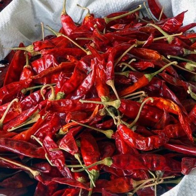 Chilli papričky | foto: Fotobanka Pixabay,   joakant