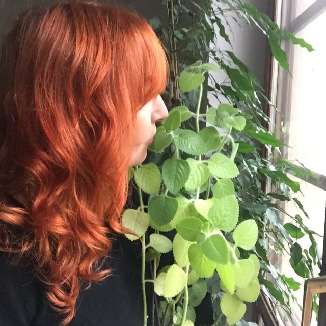 Nenápadná zelená rostlinka je zdatným pomocníkem při boji s rýmou. Recept na rýmovníkový čaj | foto: Blanka Malá