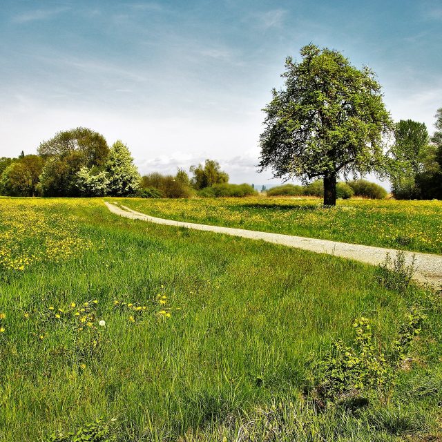 Krajina,  polní cesta | foto: Fotobanka Pixabay