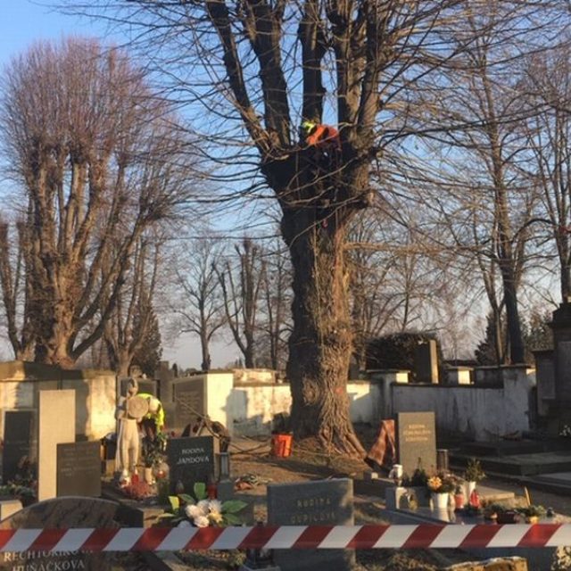 Práce na hřbitově  (ilustr. foto) | foto: Lucie Peterková
