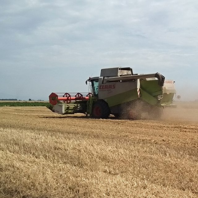 ilustrační foto | foto: Jana Vitásková,  Český rozhlas