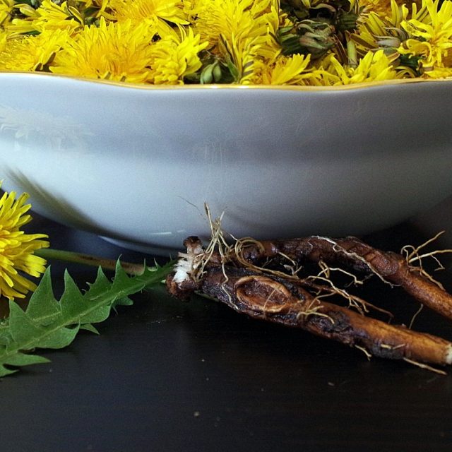 Pampeliška | foto: Pixabay