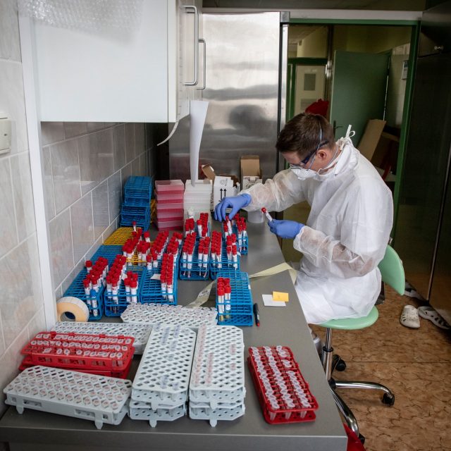 Testování na nemoc covid-19 | foto: Adolf Horsinka,  MAFRA / Profimedia